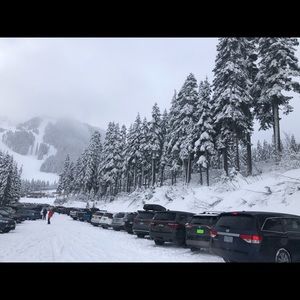 Meet your Posher, Spencer